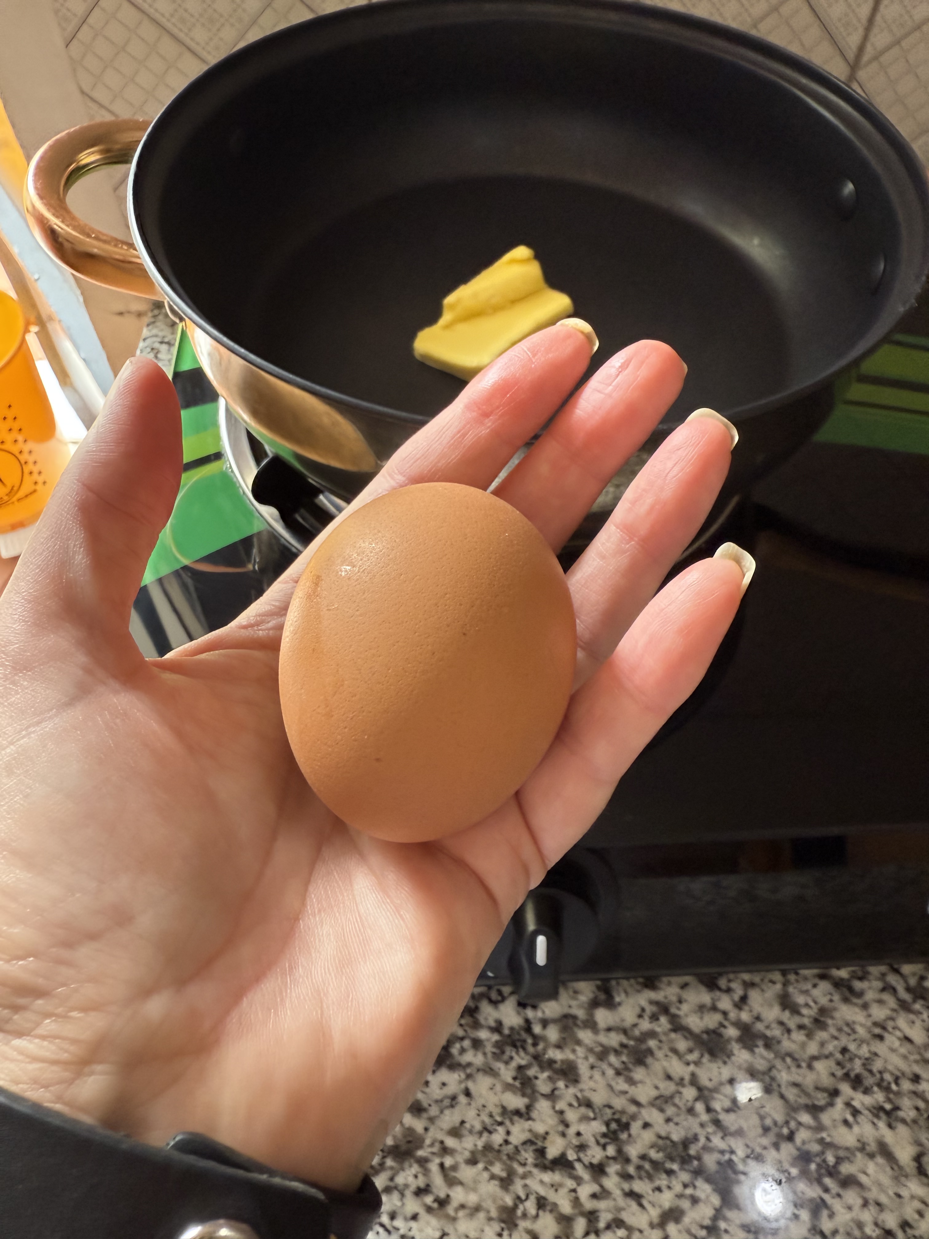 Large brown egg in palm of hand