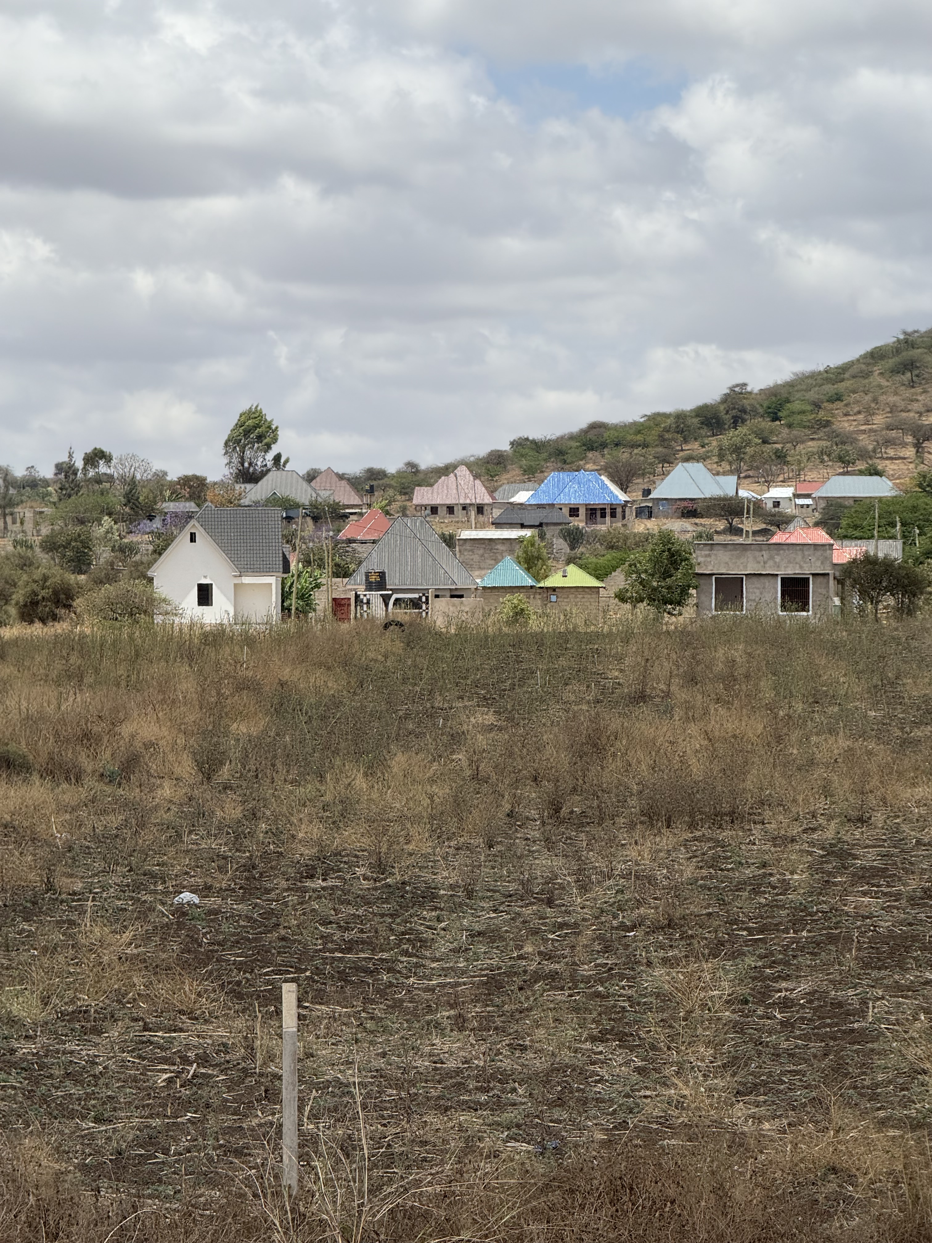 Cluster of houses against a hill with brightly colored rooftops.